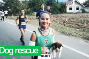 Marathon Runner Rescues Lost Puppy Midway Through Race