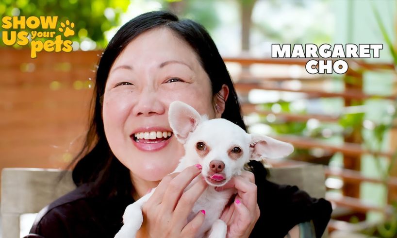 Margaret Cho's Rescue Pets | Show Us Your Pets