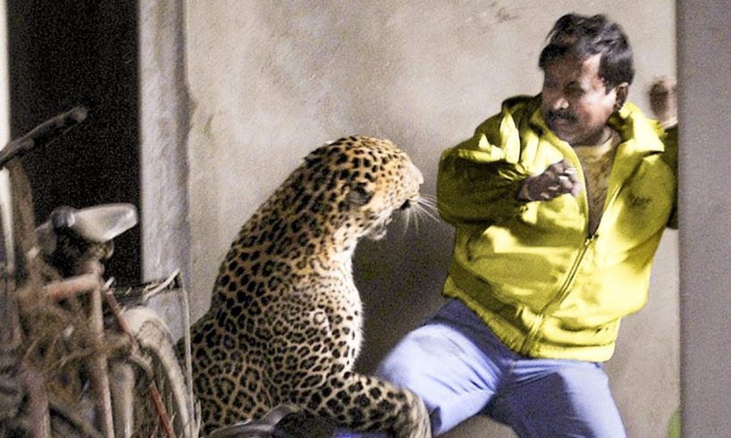Moments When Wild Animals Attack People