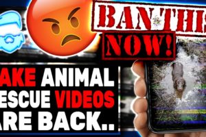 Monsters Running Fake Animal Rescues Are BACK & Must Be Banned Now!