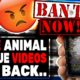 Monsters Running Fake Animal Rescues Are BACK & Must Be Banned Now!
