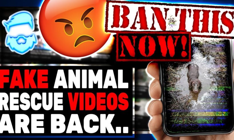 Monsters Running Fake Animal Rescues Are BACK & Must Be Banned Now!
