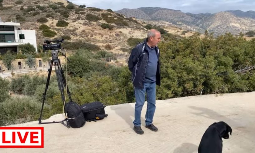 My dogs will go live now in tv channel ERT 1- Takis Shelter