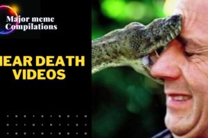 Near Death Videos | GIANT SNAKE BITE | #shorts