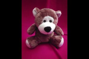 New Updated Stuffed Animals Rescues - August 2021