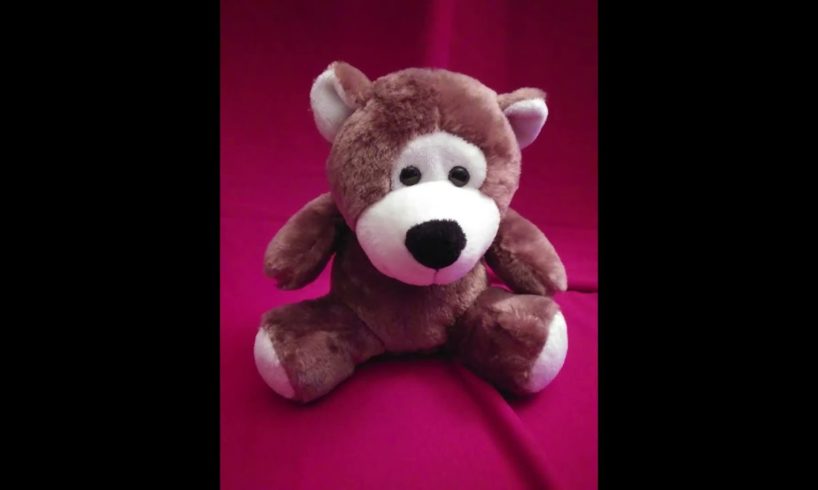 New Updated Stuffed Animals Rescues - August 2021