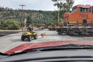 Old Man Decided Drive Extremely Close in Front of Train. Near Death & Closs Call Situations.