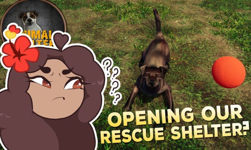 Opening Our Own ANIMAL RESCUE Shelter?! 🐱🩹 Animal Shelter Simulator Prologue