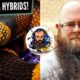 Pros & Cons of Morphs & Hybrids | Johnothan Wallace - The Animals at Home Podcast