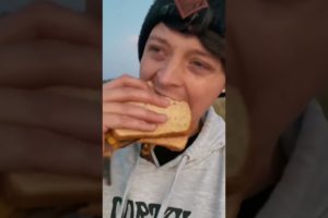 Rescuing CUTE Sea ANIMALS Compilation!