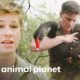 Robert Irwin Rescues an Entangled Black Swan | Crikey! It's the Irwins