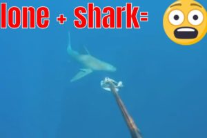 SURROUNDED BY SHARKS for HOURS😱😱NEAR DEATH EXPERIENCE GoPro compilation