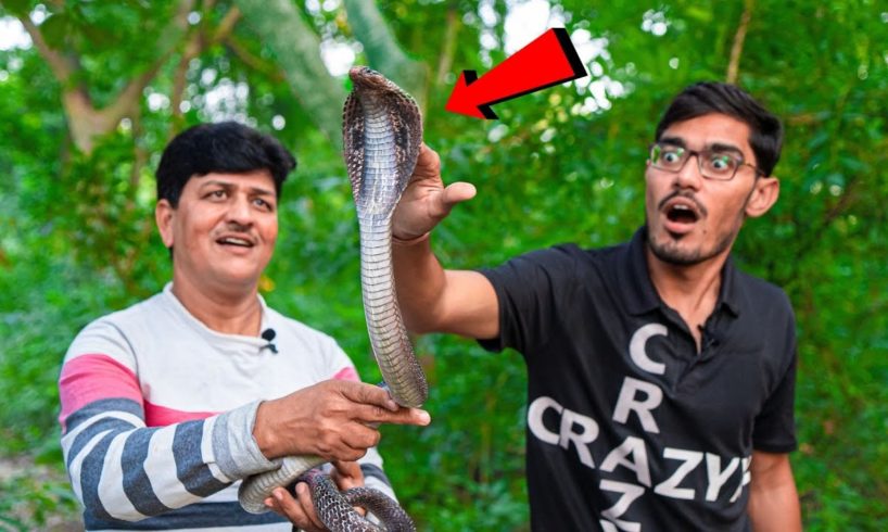 Saving a Deadly Cobra Snake | खतरनाक सांप से आमना सामना | Do Not Try