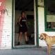 Stray Dog Acting Weird Rescues A Gorgeous Female! Detroit Dog Saviors - Howl & Hope For DoDo Dogs