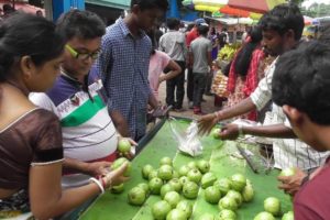 Street Food India Kolkata | People Eating Healthy Fruit Guava (Pyara) | Best Selling Fruit in India