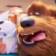 The Secret Life of Pets 2 | Max and Duke Go on a Road Trip!