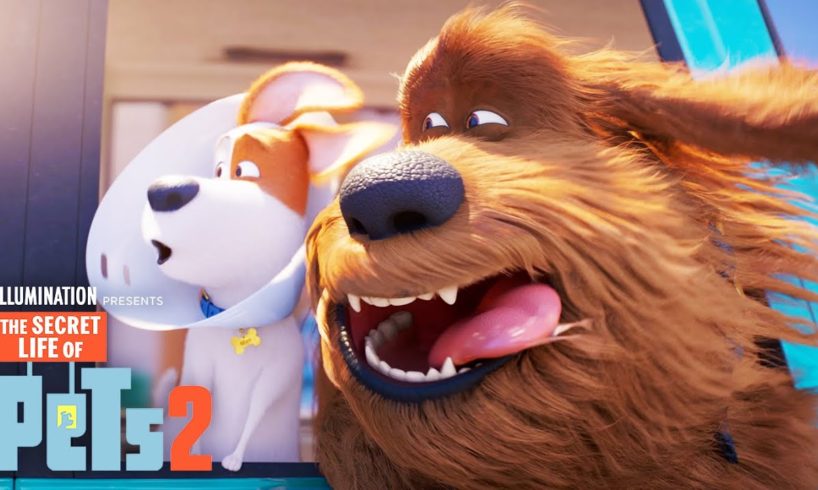 The Secret Life of Pets 2 | Max and Duke Go on a Road Trip!