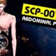 Top 10 Male SCPs (SCP Orientation Compilation)
