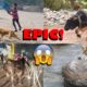 Top 5 Epic Animal Rescue Catches😱| Animal Aids | Indian dangerous action rescues | Bull Rescue
