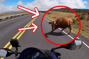 ULTIMATE COMPILATION OF SCARY MOTORCYCLE CLOSE CALLS AND NEAR MISSES 2021 |Ep.#03|