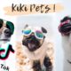 Ultimate Funniest Dogs 🐶 and Cutest Puppies of TIKTOK Compilation ❤ KiKi Pets