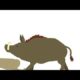 animal fights 1 animation