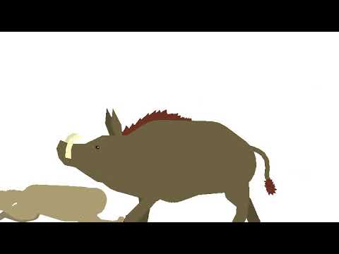animal fights 1 animation