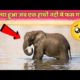 #shorts क्या हुआ जब एक हाथी नदी में गिर गया #animals #humanity #helping #elephant