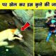 अपनी जान पर खेलकर इस कुत्ते की जान बचाई 👍#shorts | dog | rescues | facts in hindi | amazing facts