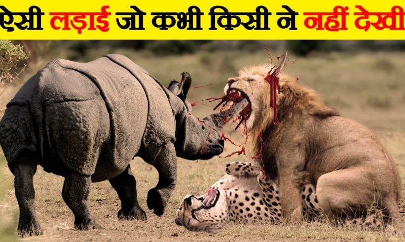 जंगली जानवरों की सबसे भयंकर लड़ाइयां | Craziest Fights of Wild Animals | Animal Fights in Hindi