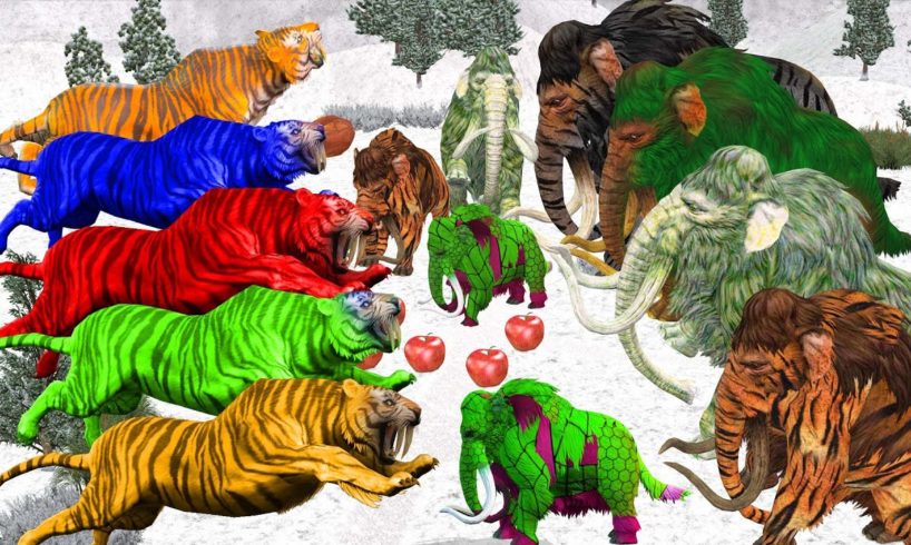 10 Gaint Tigers vs  10 Woolly Mammoth Elephants Saved Cow Cartoon Rescues  Giant Animal Fights Video