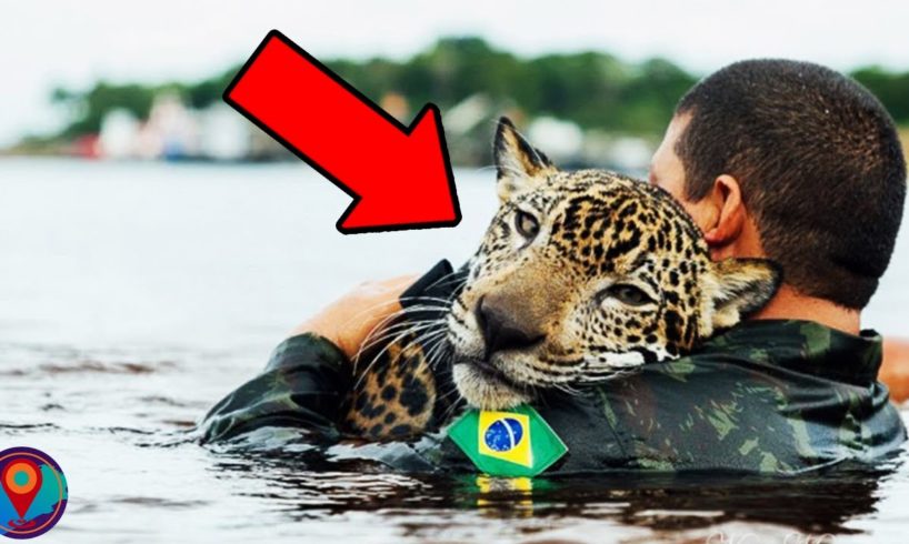 10 Most Inspiring Animal Rescues