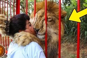 10 Times Humans Rescued Animals