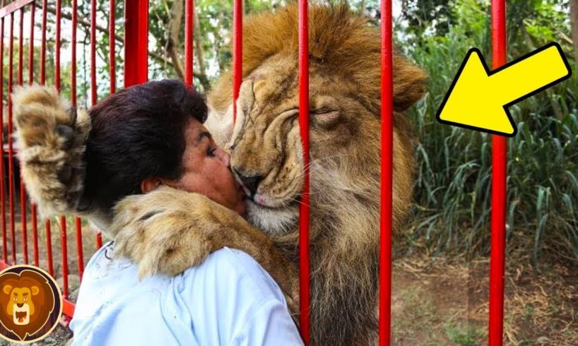 10 Times Humans Rescued Animals