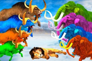 10 Zombie Bulls vs Woolly Mammoth Elephants Animal Fight | Mammoth Save Wild Sheep From Big Bulls