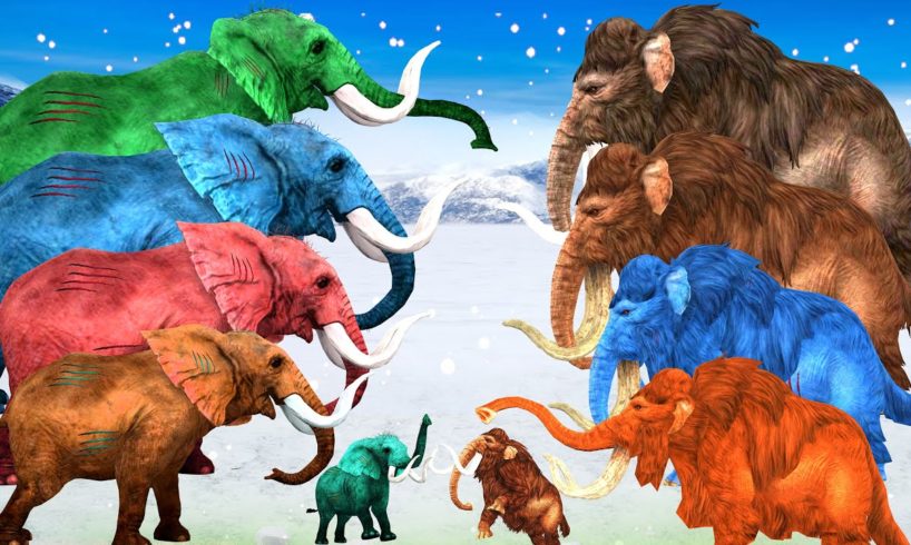 10 Zombie Mammoths Vs Elephants Fight on Snow To save Baby Woolly Mammoths Elephants