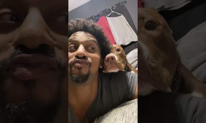 The cutest puppies in the world 😍 #puppies #cutepuppies #shorts