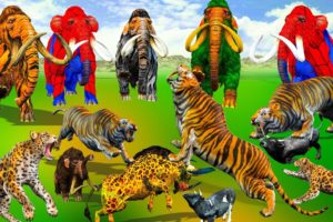 5 Zombie Mammoths vs Giant Tigers Fight Baby Elephant Saved By Woolly Mammoth Giant Elephants Fights