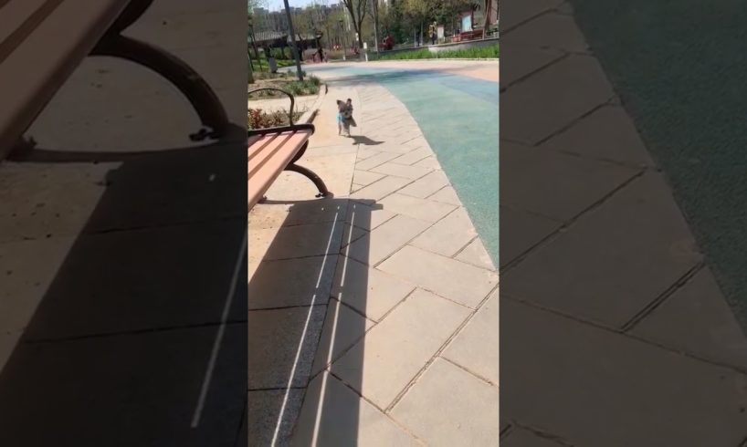 Cute Puppies Doing Funny Things, Cutest Puppies in Tiktok 2022 #Short2996