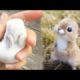 AWW SO CUTE! Cutest baby animals Videos Compilation Cute moment of the Animals - Cutest Animals #32