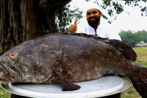 25 Kg King Hamour Fish Biryani Recipe || Amazing Hamour Fish Biryani || Nawabs Kitchen