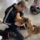 A lovely couple came from Finland to adopt a dog ! - Takis Shelter