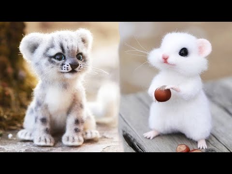 AWW SO CUTE! Cutest baby animals Videos Compilation Cute moment of the Animals - Cutest Animals #21