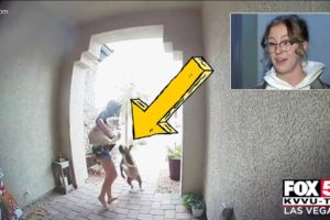 Amazon Delivery Driver Saves Woman from Pitbull Attack! (Caught on Ring Doorbell)