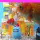 Among Us Play with koki fish, guppies, comet fish - Cute Baby Animals - The Animals Cute Around Us