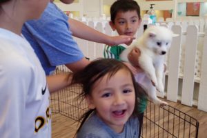 Azelie's visits Fancy Puppy Pet Store, Cutest Puppies Corona, Norco, Eastvale Riverside Baby Doggies