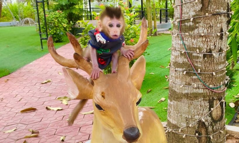 Baby monkey PiPi drinking milk and playing park playground