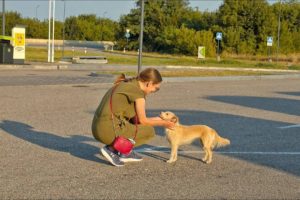 Begging Dog From Petrol Station Falls in Love With Her Rescuer