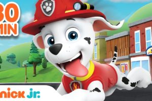 Best of Marshall 🐶 PAW Patrol! | 30 Minute Compilation | Nick Jr.