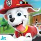 Best of Marshall 🐶 PAW Patrol! | 30 Minute Compilation | Nick Jr.